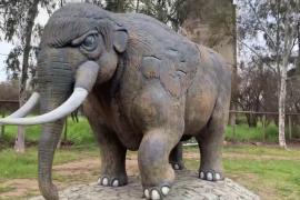 Останки слонов возрастом 12 000 лет обнаружили в Чили