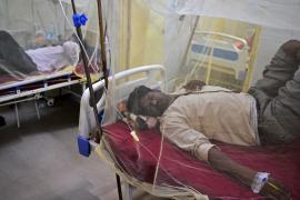 Лихорадка денге распространяется в Индии из-за сильных дождей