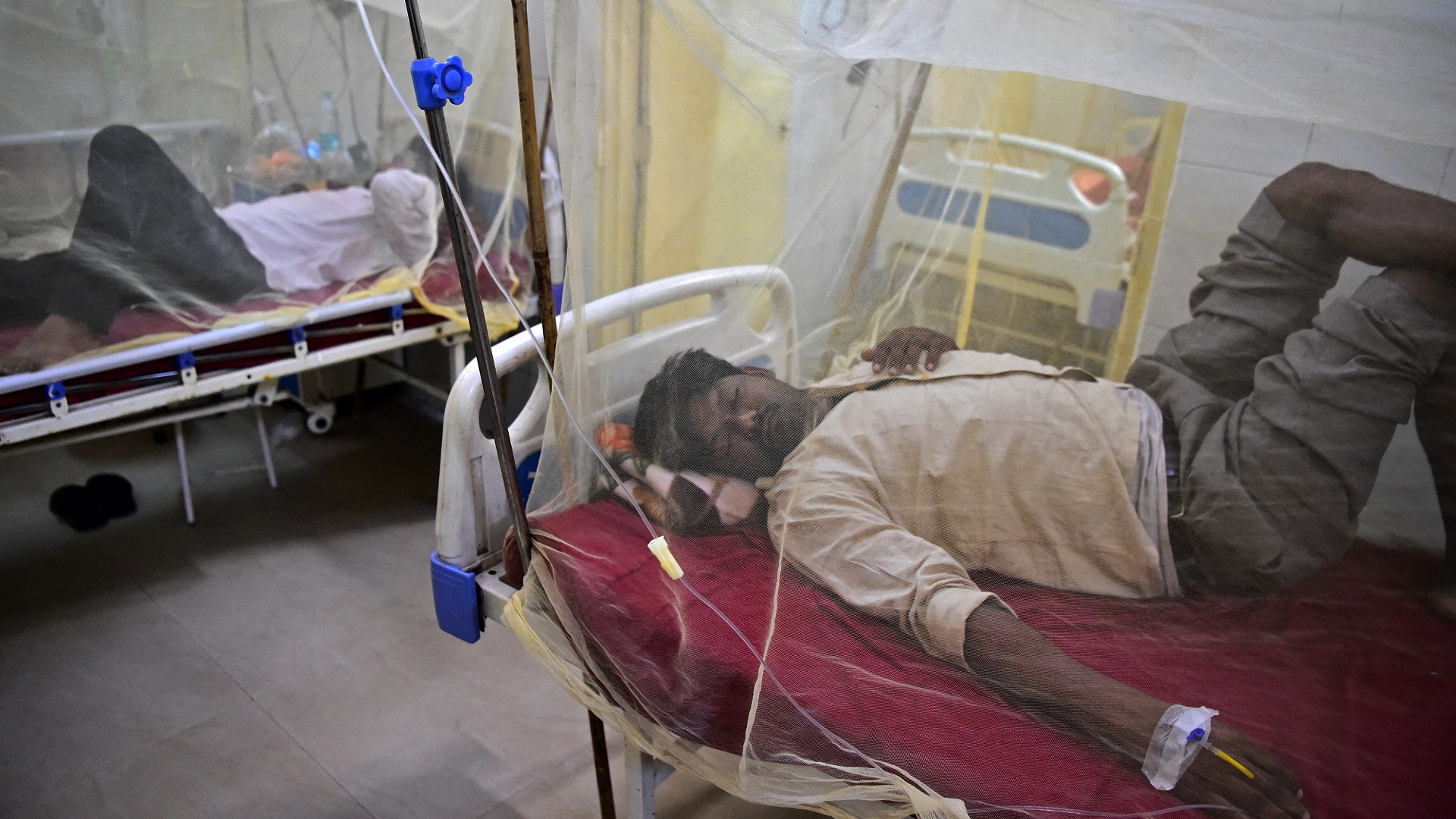 Лихорадка денге распространяется в Индии из-за сильных дождей