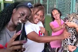 Зоопарк Кубы теперь более интересен для глухих