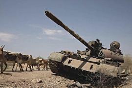 ООН призвала прекратить боевые действия в эфиопском регионе Тыграй