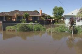 Австралия приходит в себя после наводнений