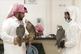 Соколиная клиника в Катаре принимает по 150 птиц в день