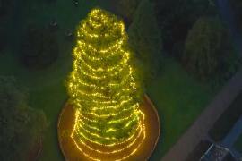 На самой высокой рождественской ёлке Великобритании зажгли гирлянду