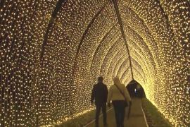 Рождественские огни осветили Сады Кью в Лондоне