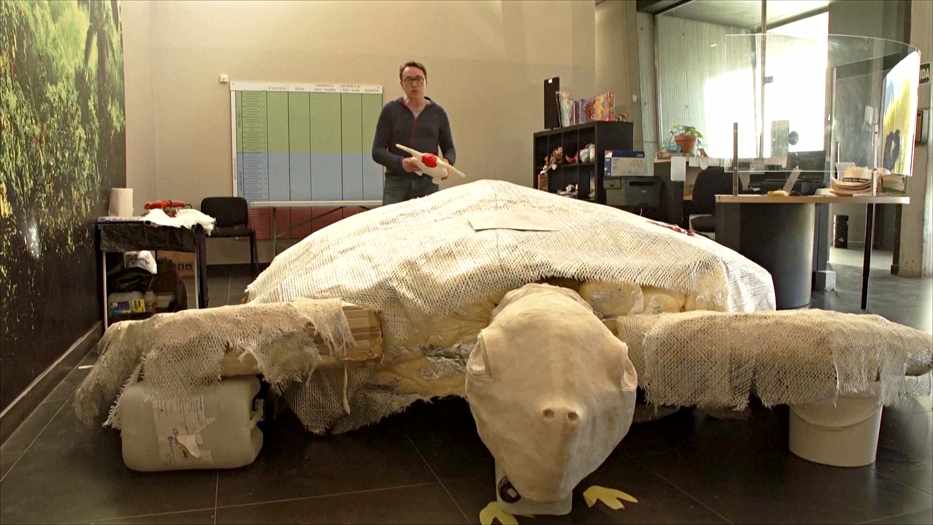Крупнейшая в Европе: останки доисторической черепахи обнаружили в Испании