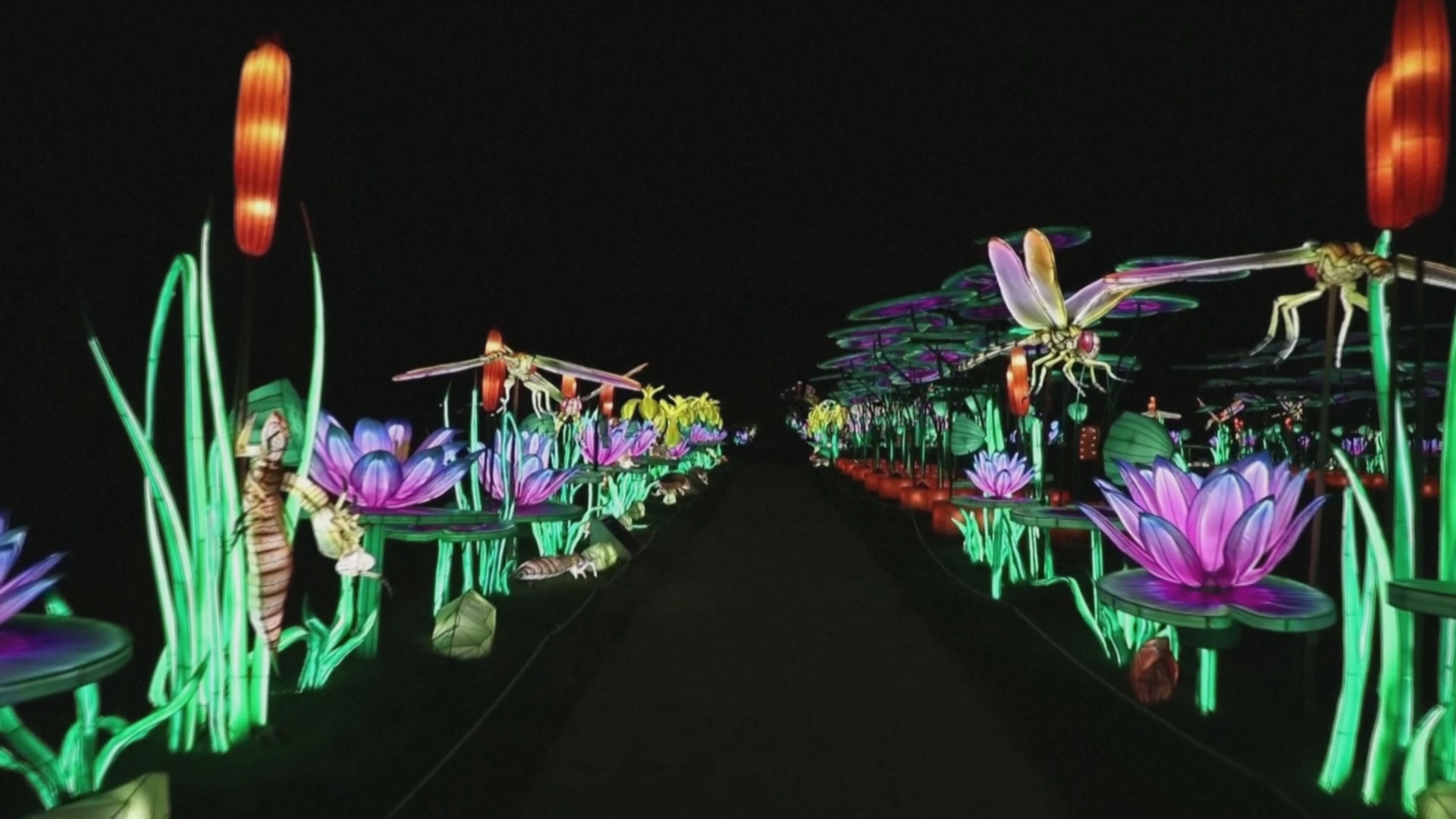 Гигантские светящиеся насекомые украсили сад в Париже