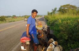 Мужчина путешествует по стране ради бездомных собак