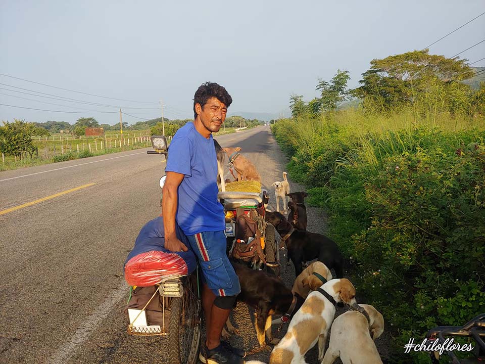 Мужчина путешествует по стране ради бездомных собак