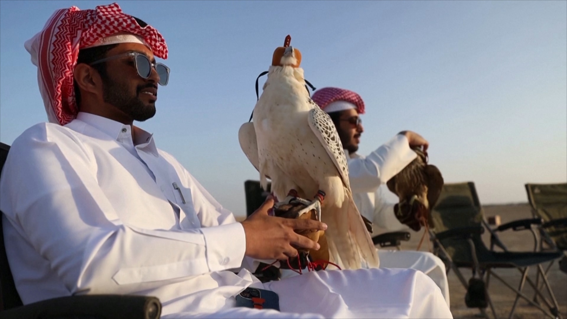 Для катарцев соколиная охота – дорогое увлечение и красивая традиция