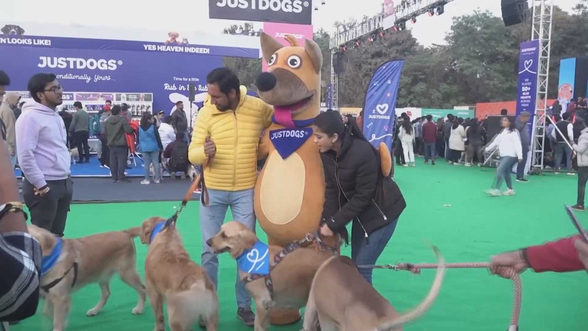 Игры, конкурсы и новые друзья: в Нью-Дели устроили праздник для кошек и собак