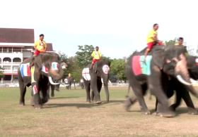 Слоны против школьников: собственный Кубок мира провели в Таиланде