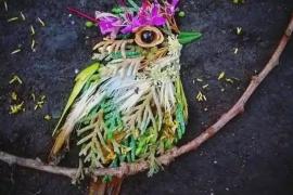 Невероятные изображения птиц созданы в лесу