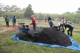 Австралийцы выращивают для себя овощи на общественной ферме