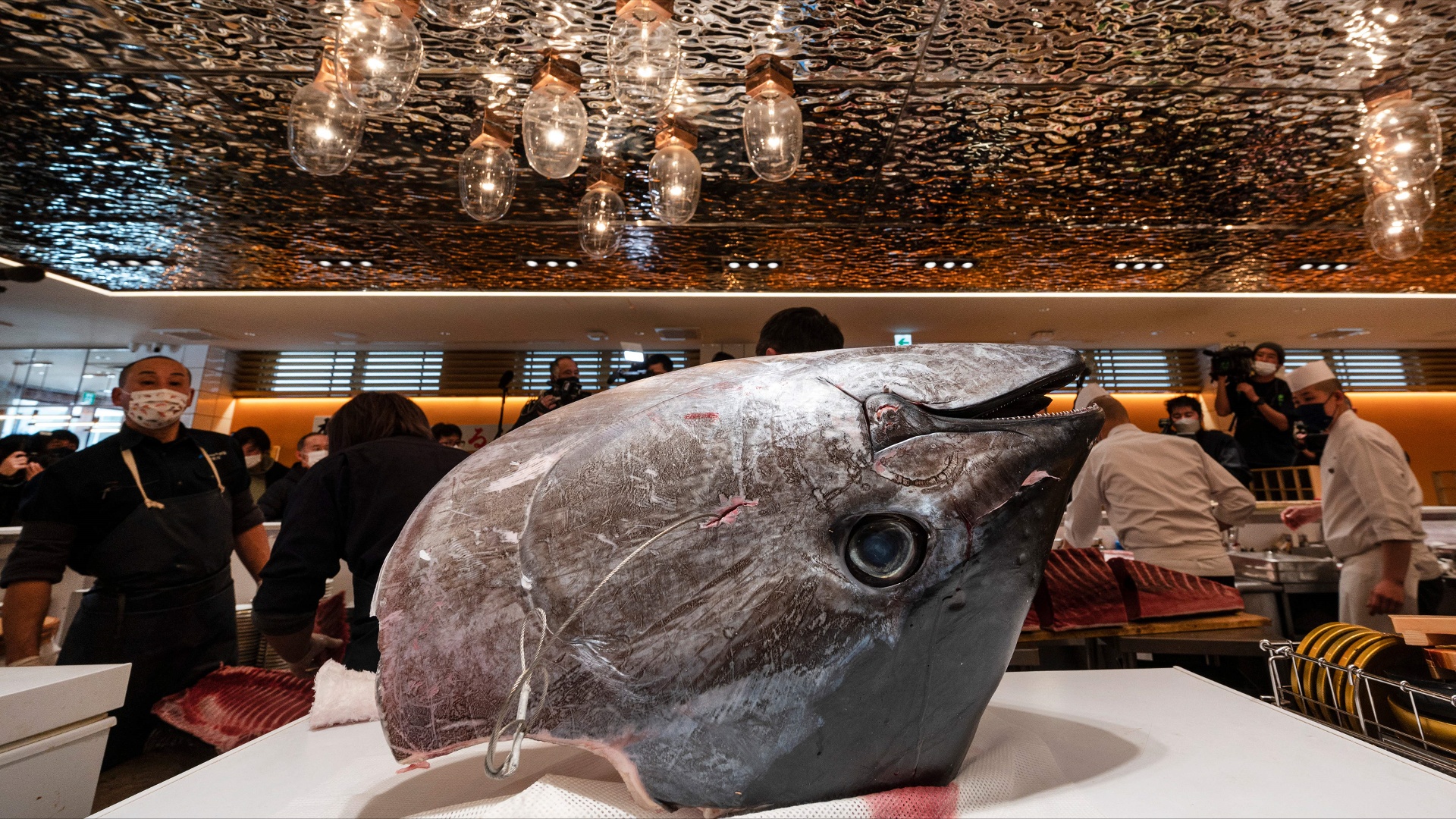 $270 тыс. отдали за голубого тунца на новогоднем аукционе в Японии —  Новости мира сегодня NTD