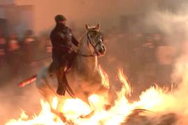 Лошади и пламя: как проходит древний обряд очищения огнём в Испании