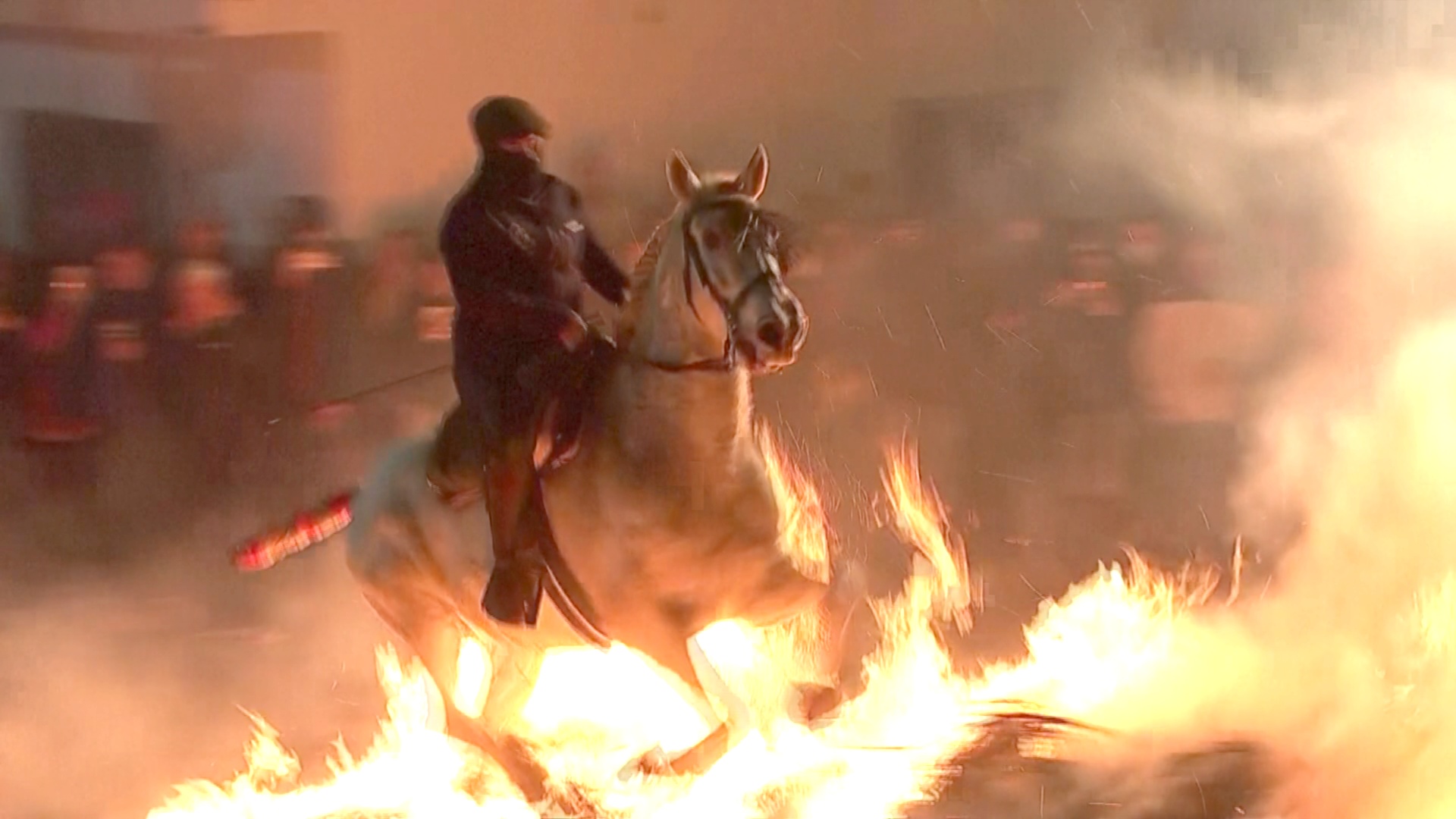 Лошади и пламя: как проходит древний обряд очищения огнём в Испании