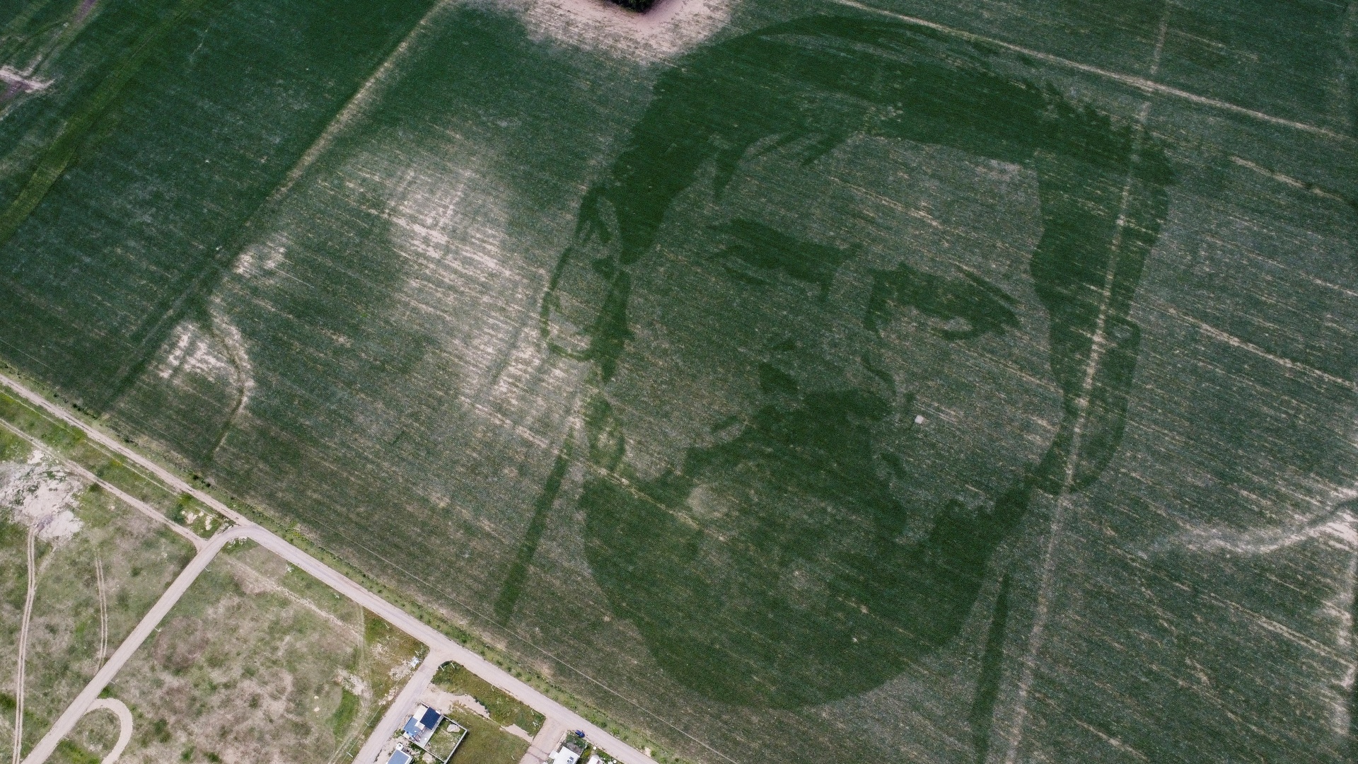 Гигантский портрет Лионеля Месси появился на кукурузном поле в Аргентине