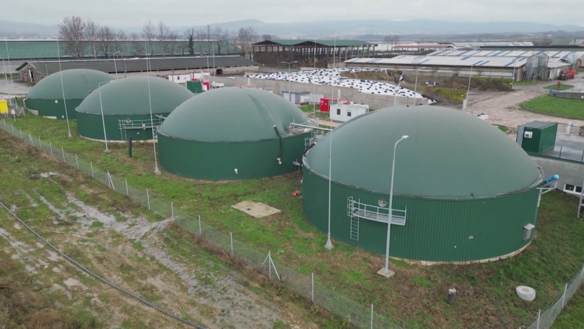 Боснийская ферма получает электричество из навоза и органических отходов