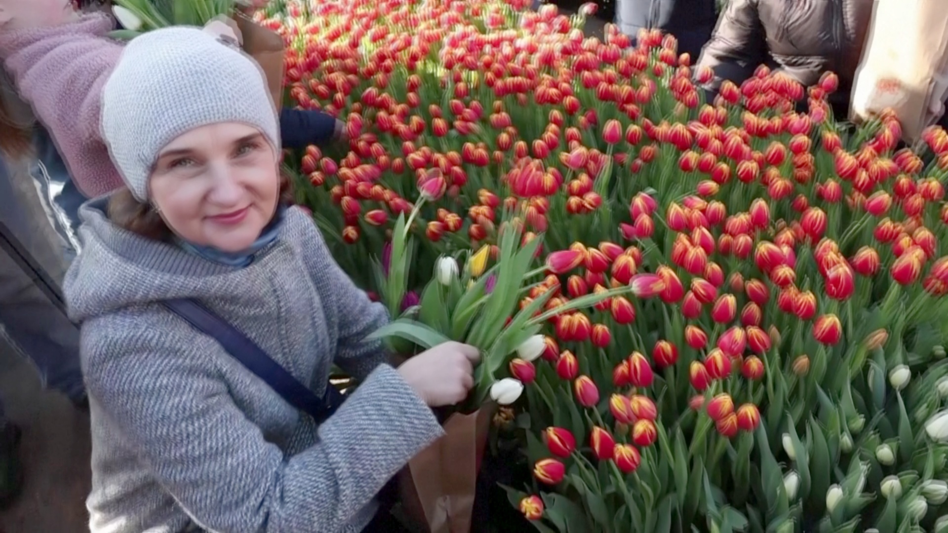 В Амстердаме раздали 200 000 цветов в честь «Дня тюльпанов»