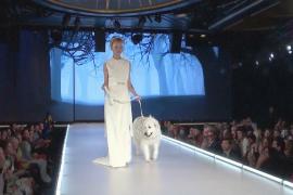 Собаки вышли на подиум на Неделе моды в Нью-Йорке