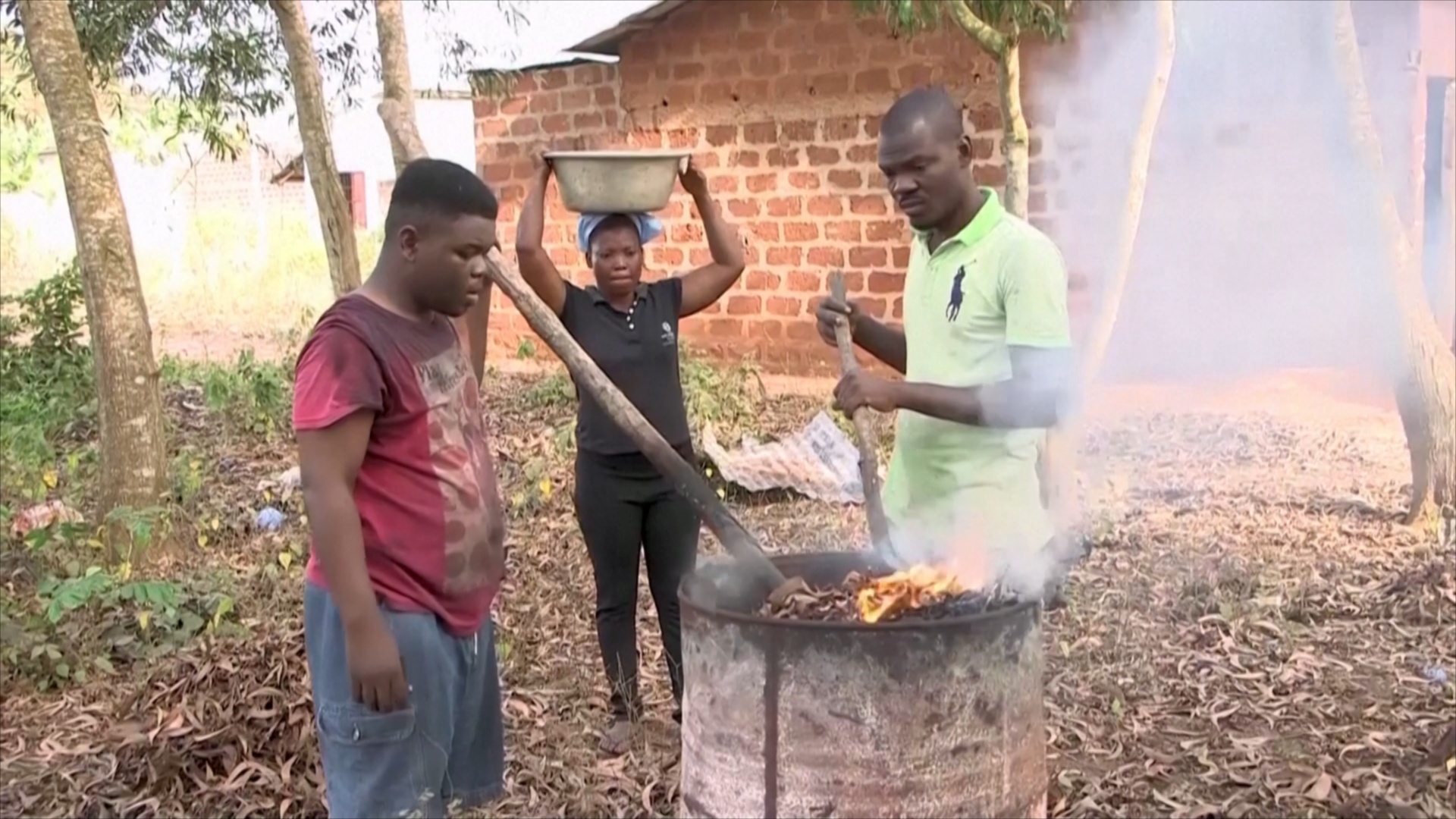 В Бенине бизнесмен делает уголь, не вырубая деревья