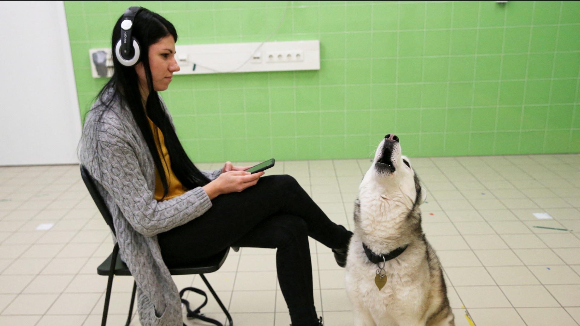 Как собаки разных пород реагируют на волчий вой, выяснили в Венгрии