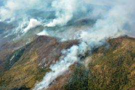 На Кубе больше недели полыхает сильный лесной пожар