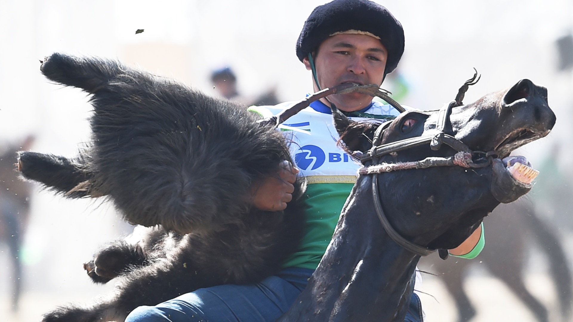 Отобрать тушу козла: как кыргызские наездники играют в кок-бору