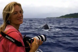 Уникальный случай: горбатый кит спас женщину-дайвера