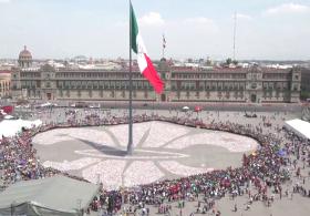 Гигантскую лилию из мусора сложили мексиканские скауты в центре Мехико