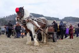В болгарском городке устроили праздник для лошадей