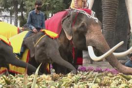 Тайцы отмечают День слона