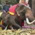 Тайцы отмечают День слона