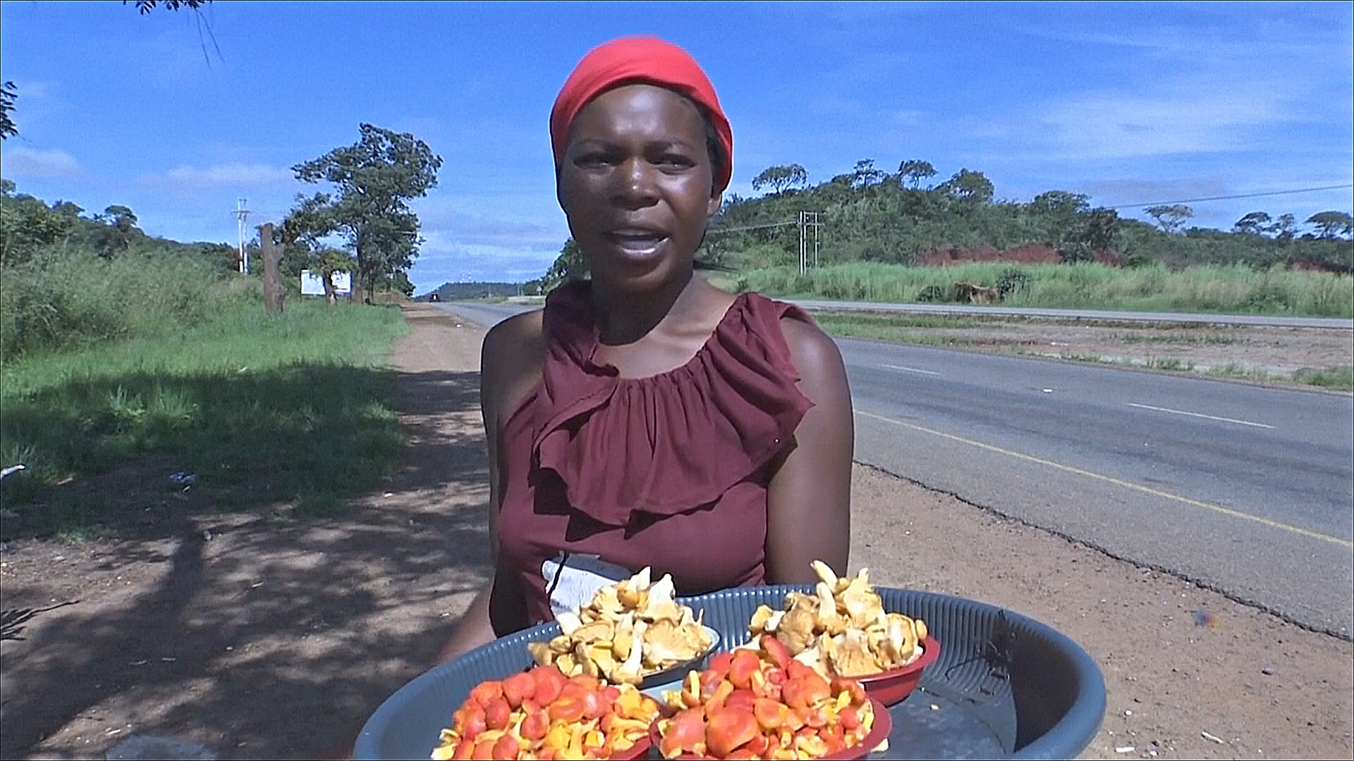 Дикие звери, грабители и злые землевладельцы: как в Зимбабве проходит грибной сезон