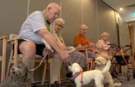 Учёные: собаки и кошки необходимы жителям домов престарелых