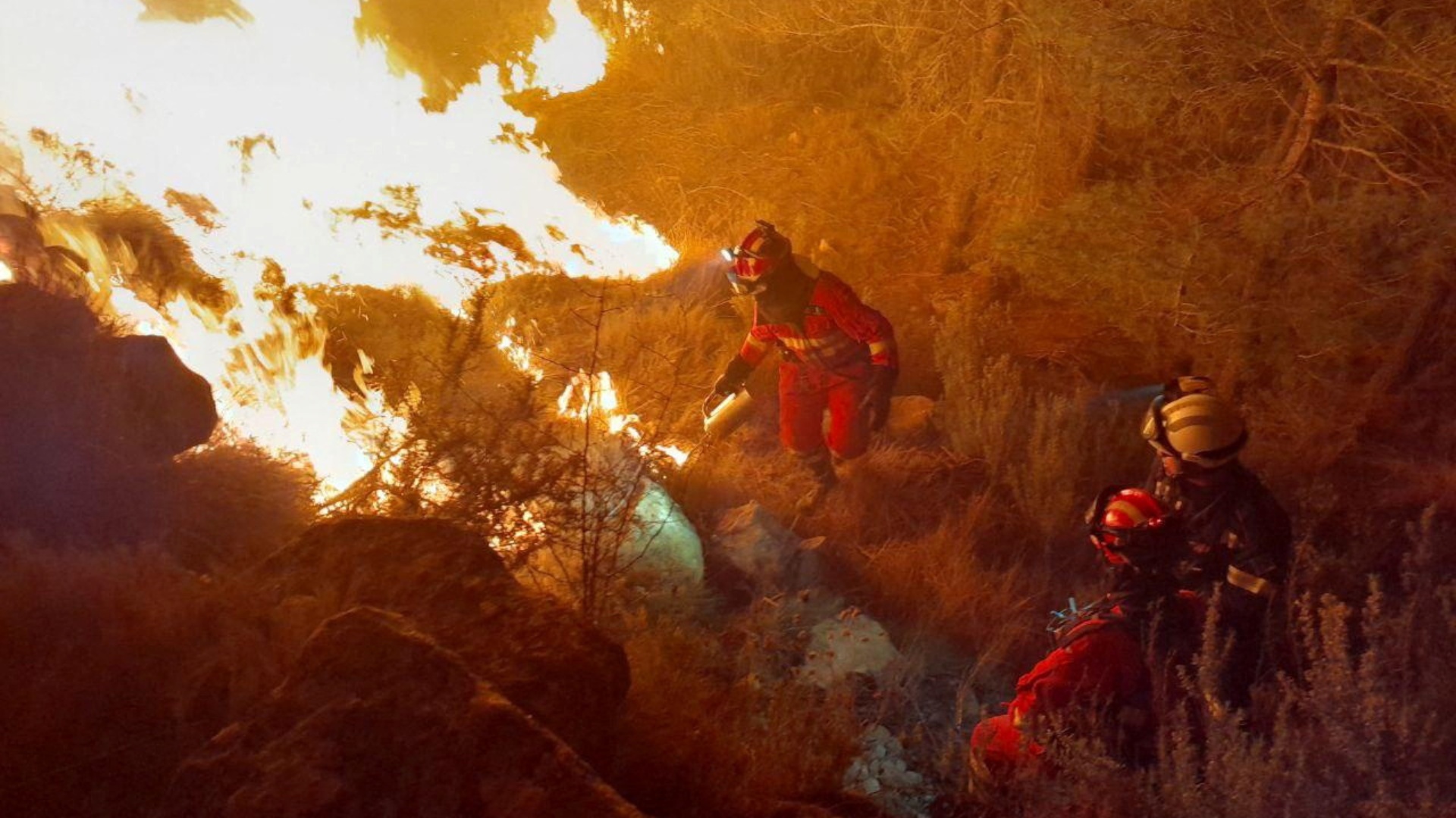Испания: более 100 лесных пожаров и рекордная жара