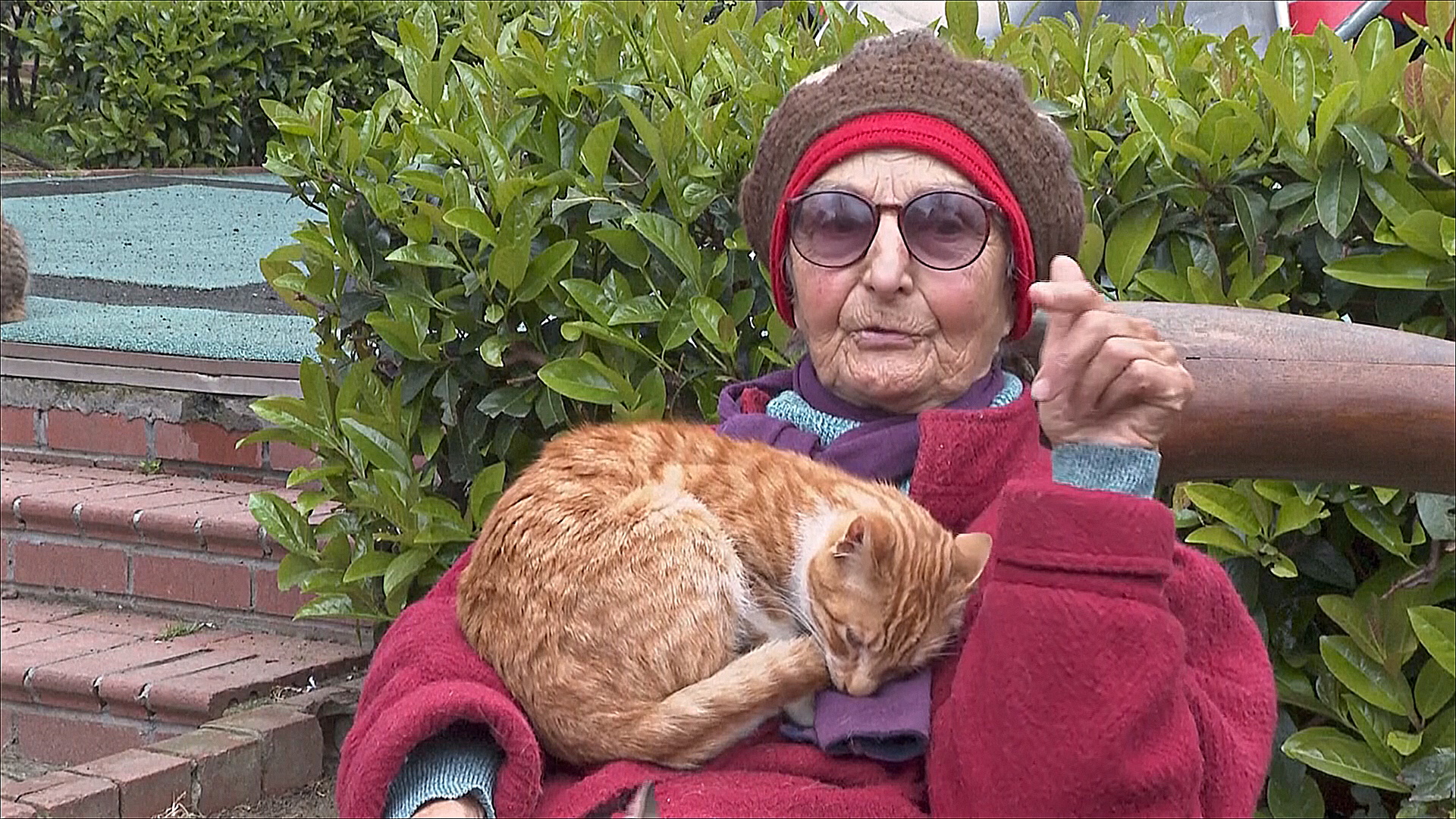 Любовь и внимание: как стамбульцы заботятся о сотнях тысяч бездомных собак и кошек