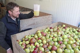 Яблочные сады Англии больше не приносят прибыли