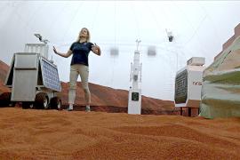 Как будет выглядеть первый дом на Марсе, показало НАСА