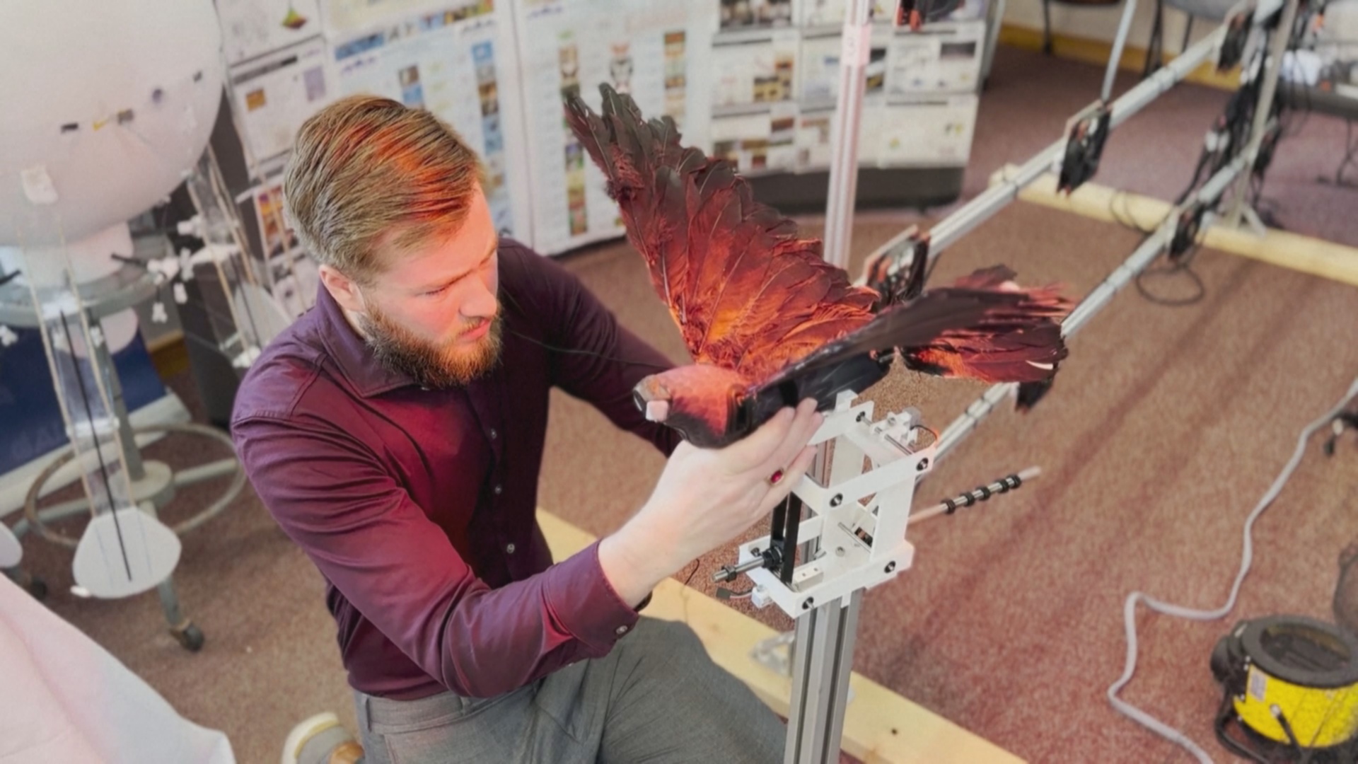 Как дроны, имитирующие птиц, помогут авиапромышленности