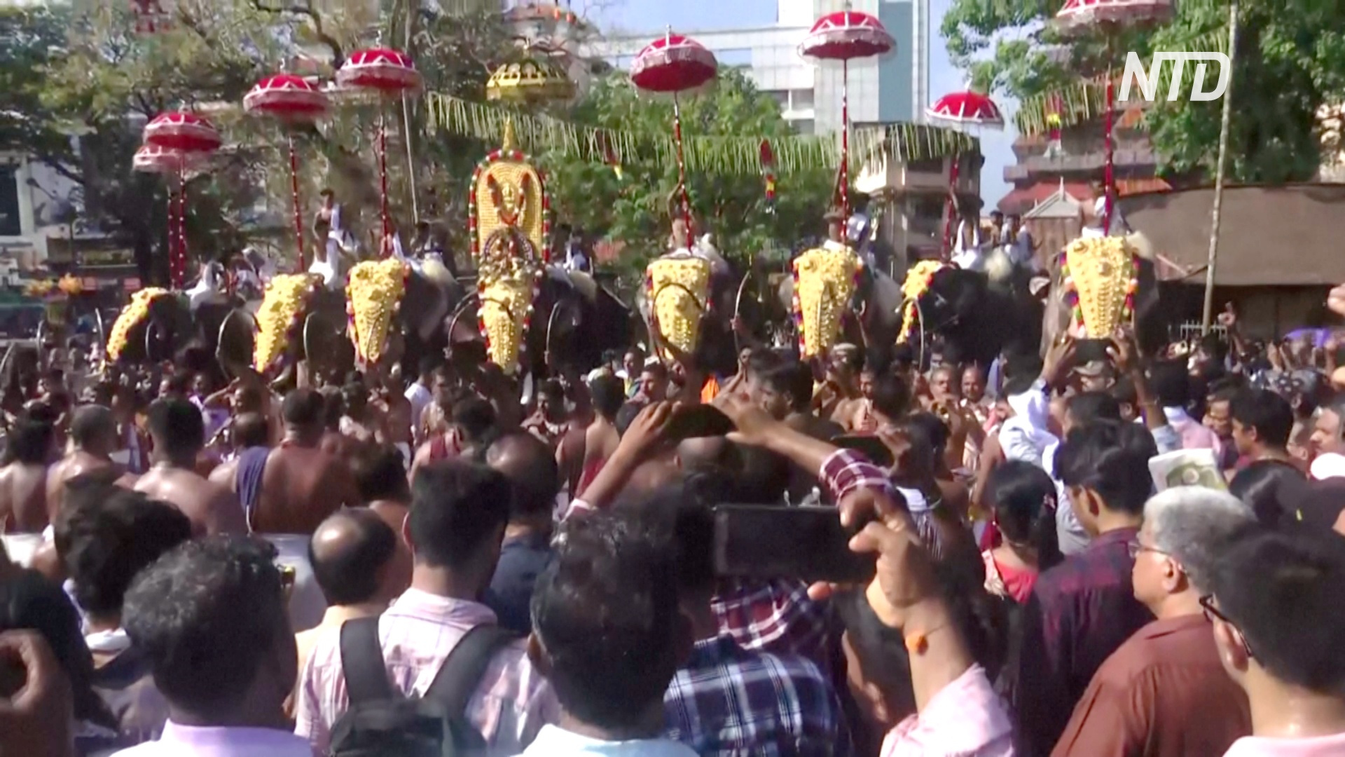 Шествие слонов в золотых украшениях собирает десятки тысяч зрителей в Индии