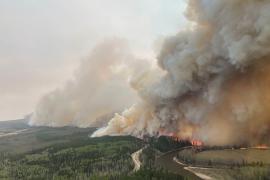 Пожары в канадской провинции Альберта за два дня выжгли 95 000 гектаров земли