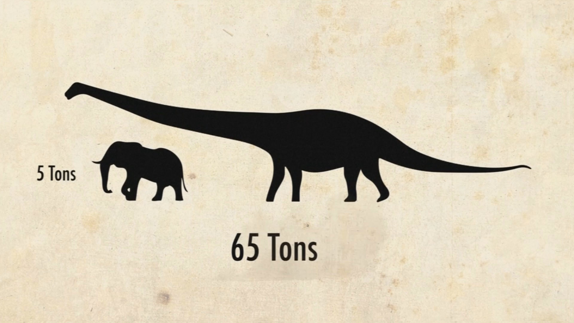 Новый вид гигантского титанозавра весом 50 т открыли в Аргентине