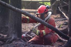 Пожары в Альберте: выжжено более 800 га территории