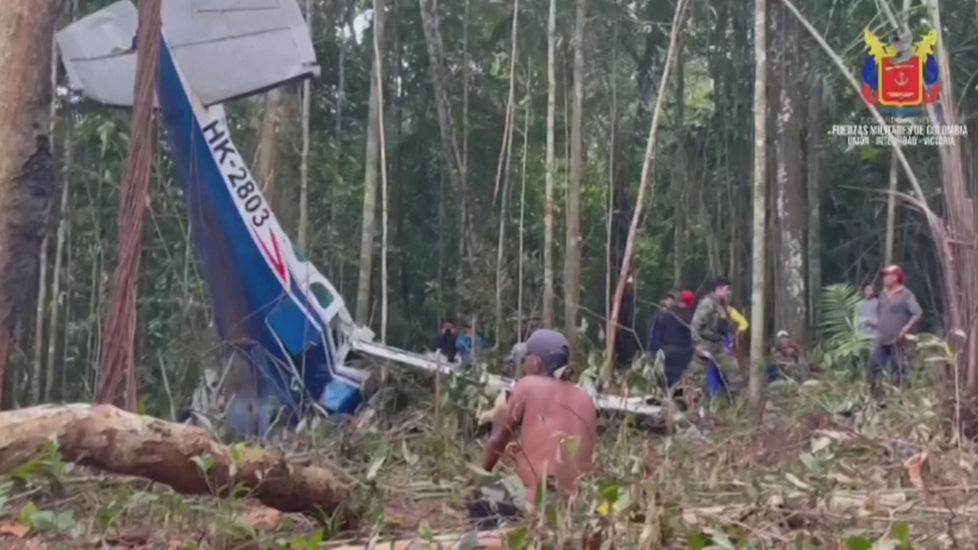 Четверых выживших в авиакатастрофе детей продолжают искать в джунглях Колумбии