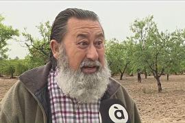 Фермеры Испании радуются дождям после продолжительной засухи