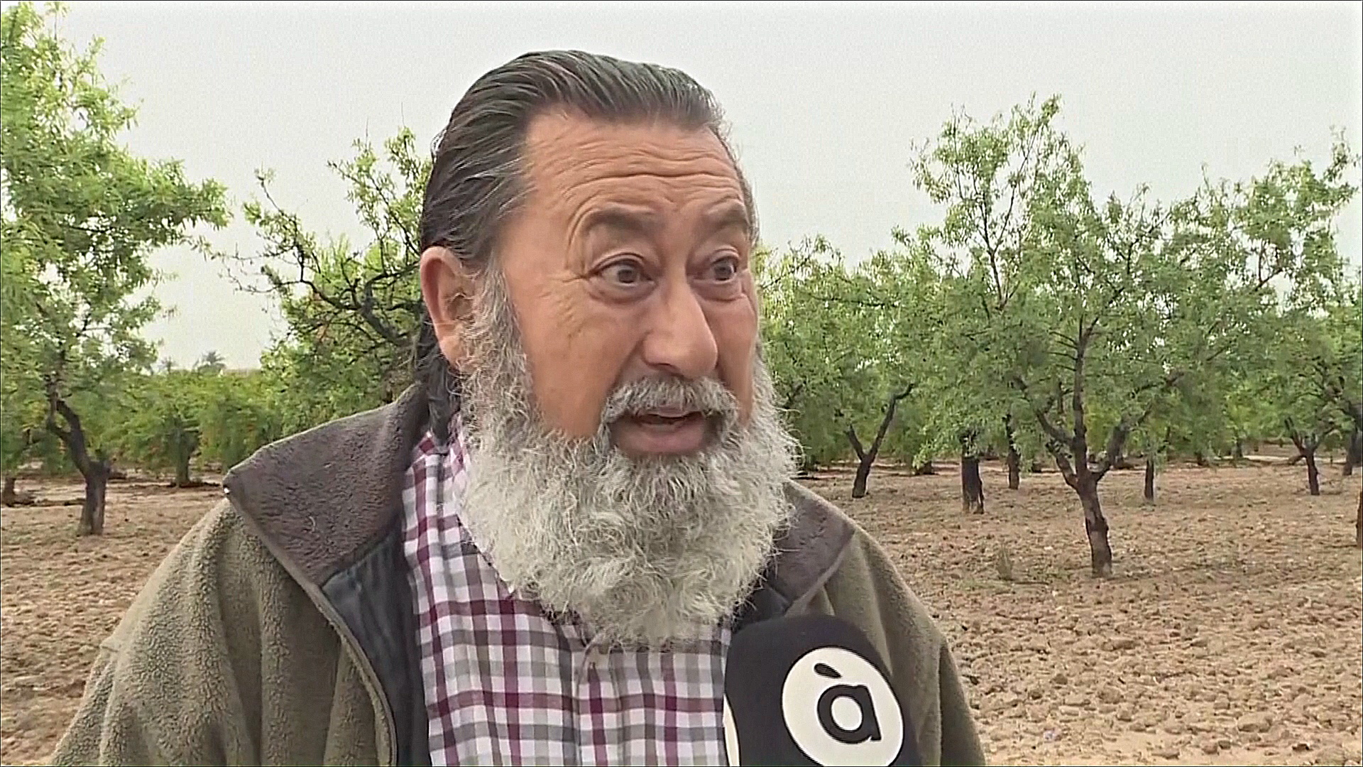 Фермеры Испании радуются дождям после продолжительной засухи