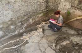 Спасались от извержения Везувия: три новых скелета нашли в Помпеях