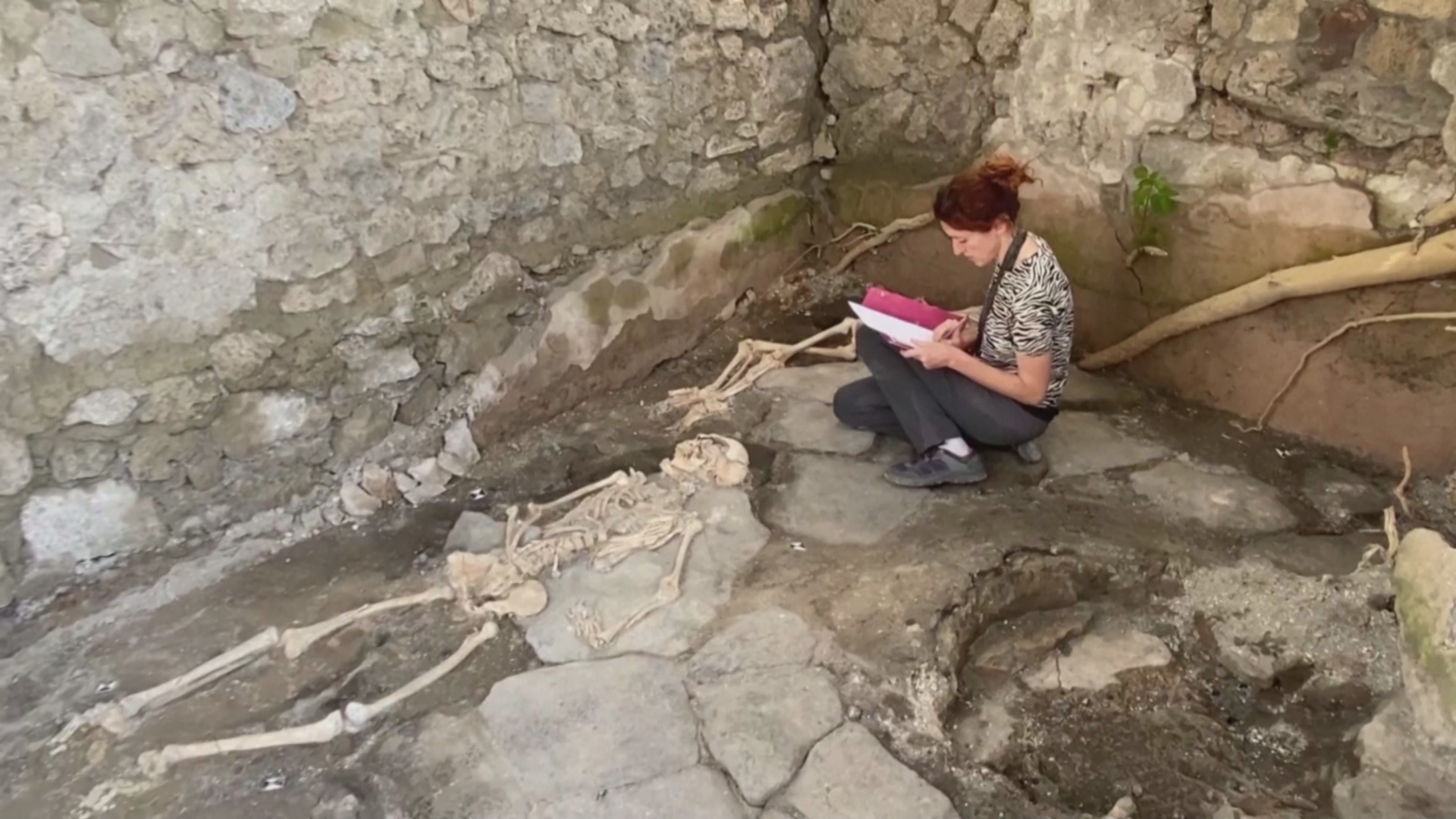 Спасались от извержения Везувия: три новых скелета нашли в Помпеях